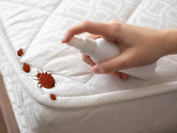 Pest Control Cost in Jessup, PA